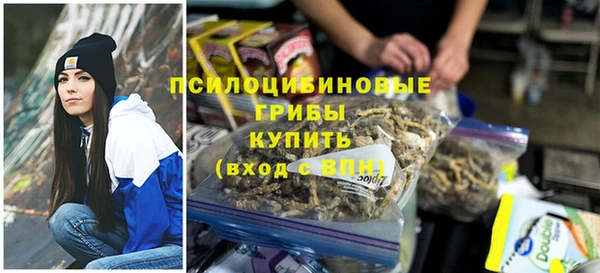PSILOCYBIN Армянск
